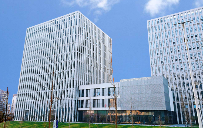 2025年网站SEO优化技术演进与整站运营策略分析